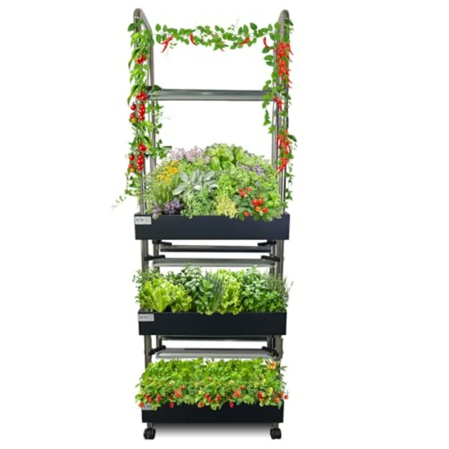 Smart Garden Water - نظام زراعة مائية داخلي: حديقة عمودية