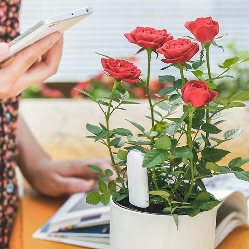 HHCC زهرة رصد فلورا حديقة الرع - مراجعة Smart Garden Water وسعره
