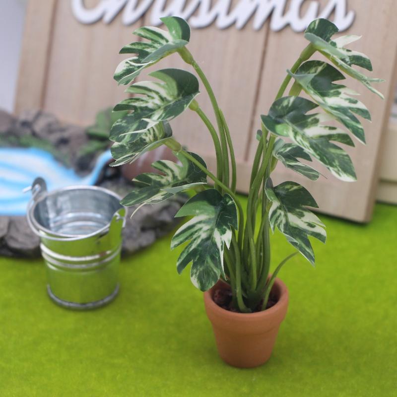 جديد. نموذج نبات مونستيرا أخضر - مراجعة Smart Garden In Home وسعره