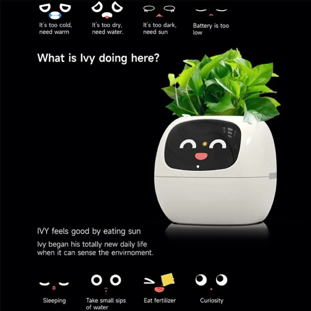 وعاء زهور ذكي مزود بشريحة ذكاء - مراجعة Smart Garden Offices وسعره